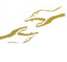 Nms-Foundation